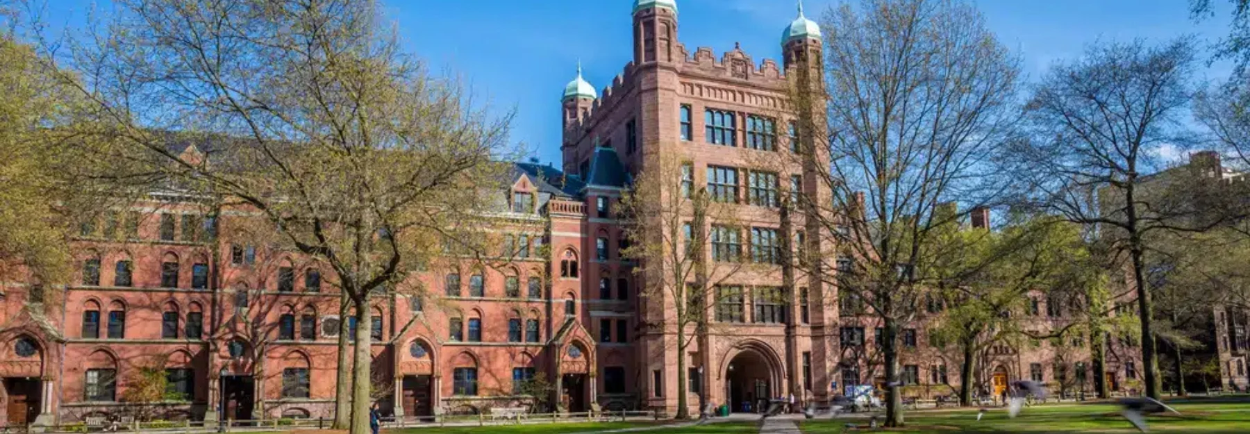 banner Yale University