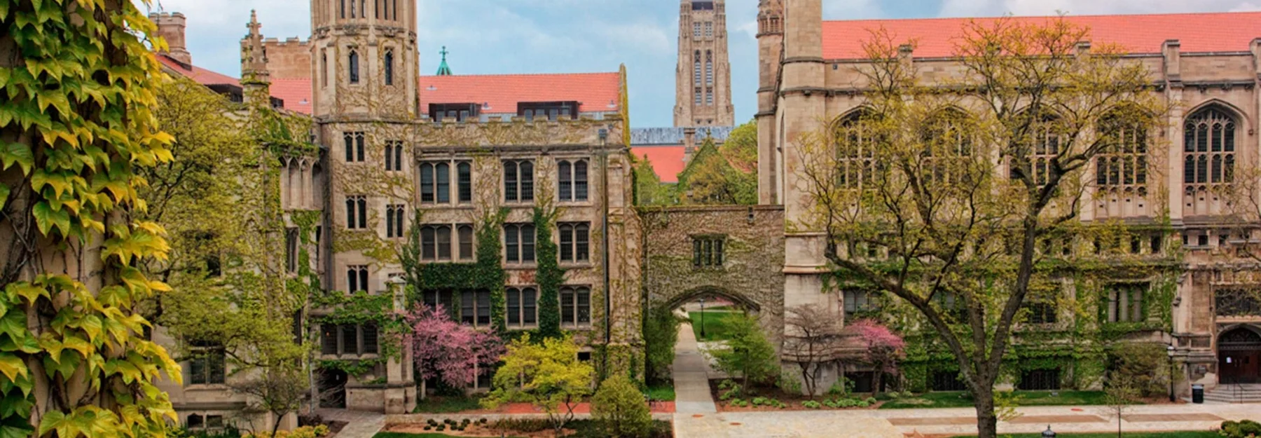 banner The University of Chicago