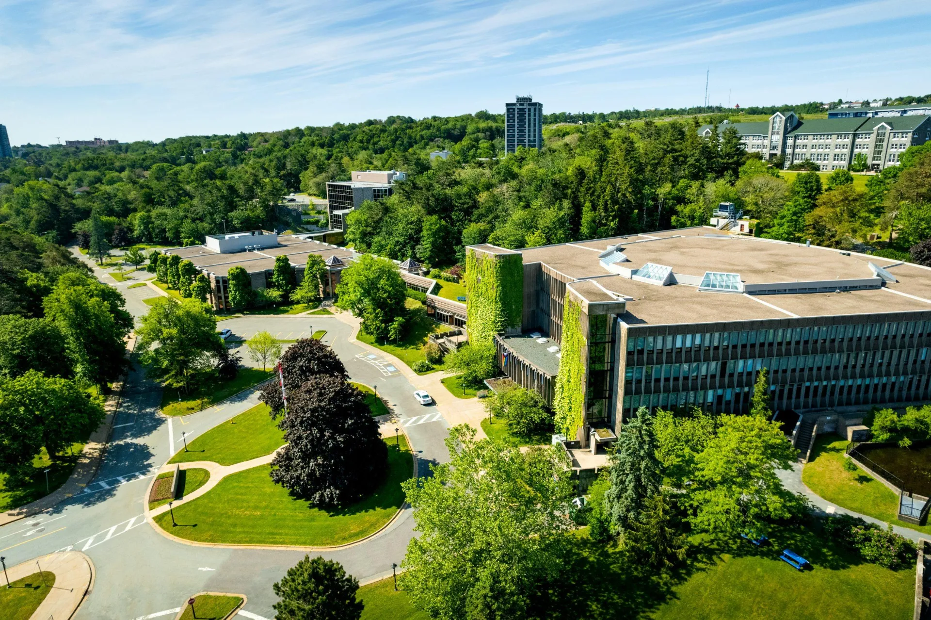 banner Mount Saint Vincent University