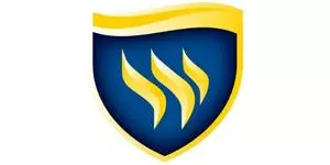 logo Texas Wesleyan University