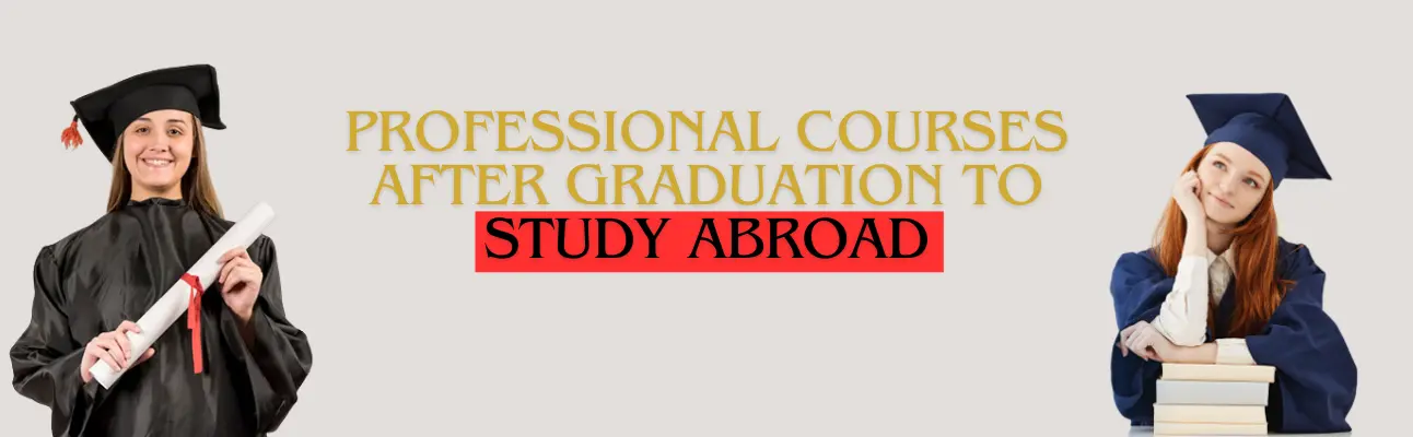 banner Top Professional Courses After Graduation to Study Abroad